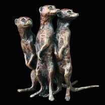 Meerkat group (2036)