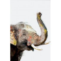 Elephant - FRAMED