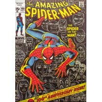 The Amazing Spider-Man 100 - The Spider Or The Man?