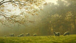 pja-october-morning