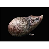 Hedgehog (2040)