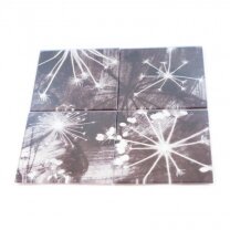 Monochrome Cow Parsely Coaster Set