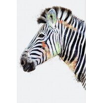 Zebra - FRAMED