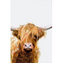 Highland Cow - FRAMED