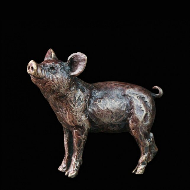 Pig