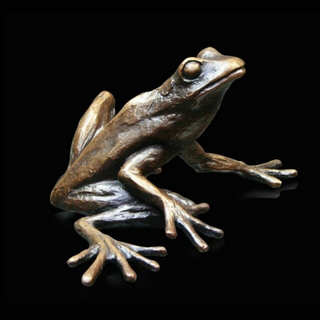 Frog Sitting (692)