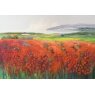 Poppy Harbour