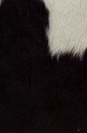 blackandwhitehide