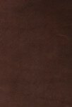 brown-oil