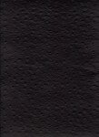 embossed-emu-print-dark