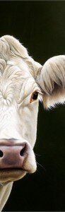 gwyneth-a-glimpse-ltd-editon-print-on-paper-24x75-inches
