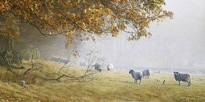 morning-in-autumn