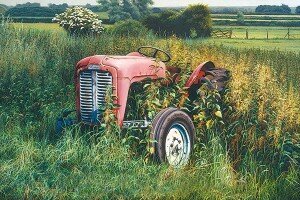 out-to-grass
